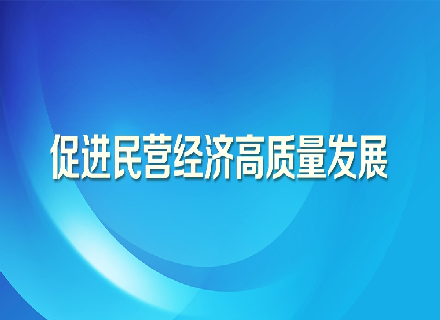 促进民营经济高质量发展